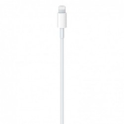 Καλώδιο σύνδεσης Apple για iPhone 12 USB-C σε Lightning 2m MKQ42ZM/A Original