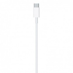 Καλώδιο σύνδεσης Apple για iPhone USB-C σε Lightning 1m MM0A3ZM/A Original
