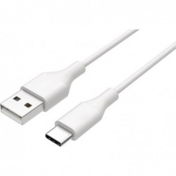 Καλώδιο σύνδεσης Hisense USB σε USB-C Λευκό 0,80cm Original 10513383