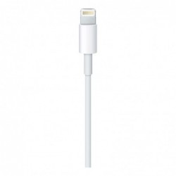 Καλώδιο σύνδεσης Apple για iPhone Lightning MXLY2ZM/A Original 1μ.