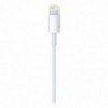 Καλώδιο σύνδεσης Apple για iPhone Lightning MXLY2ZM/A Original 1μ.