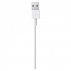 Καλώδιο σύνδεσης Apple για iPhone Lightning MXLY2ZM/A Original 1μ.