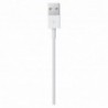 Καλώδιο σύνδεσης Apple για iPhone Lightning MXLY2ZM/A Original 1μ.